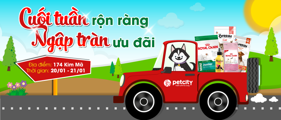 Đến mua ngay - Sắm liền tay giá sock 1