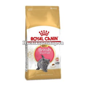 ROYAL CANIN BRITISH SHORTHAIR KITTEN(dành cho mèo Anh Lông Ngắn dưới 12 tháng)