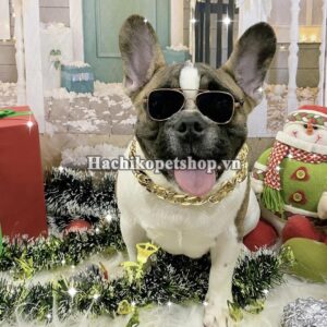 MẮT KÍNH THỜI TRANG CHÓ MÈO